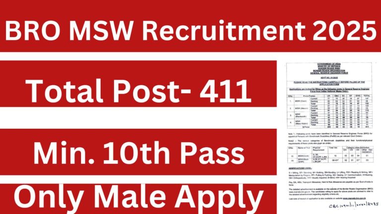 BRO MSW Recruitment 2025